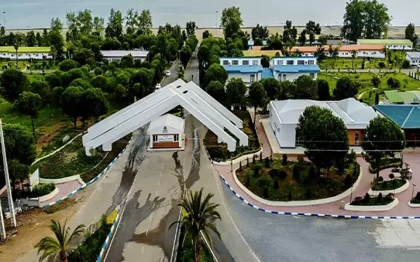 anzali